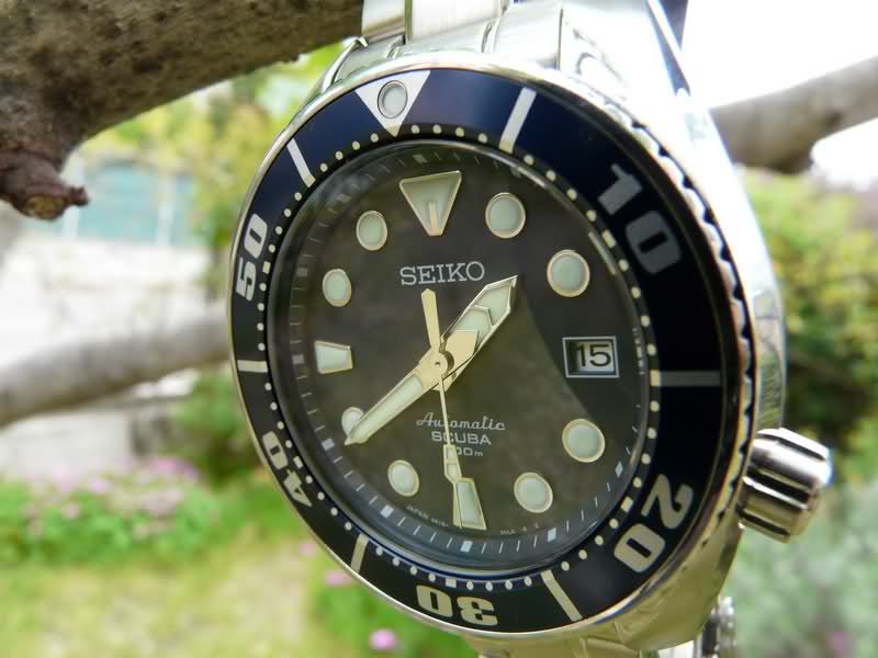 Revue Seiko Scuba 200 dite "Sumo" - Page 6 20558vc