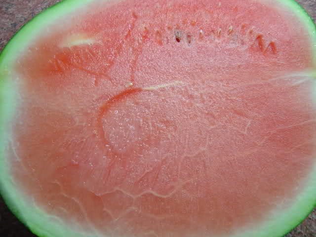 mi sandia sosa 2lntmd4