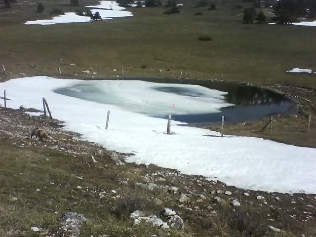 je souhaiterai faire un LAC Mif1w1