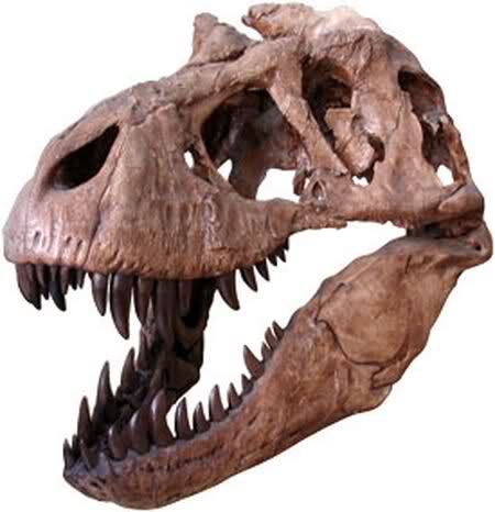 tiranosaurio - Tyrannosaurus rex 1zgvub6