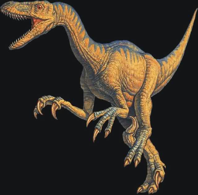 Lucha a Muerte Velociraptor-Protoceratops Mvkoio