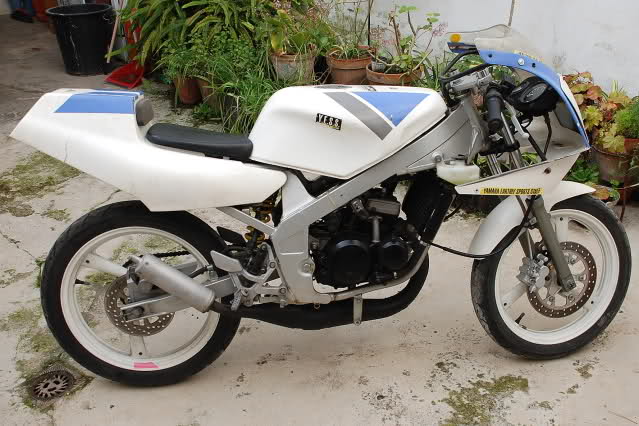 Pequeña de ojos rasgados, Yamaha TZ 50 2zp5wg4