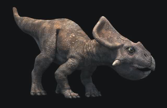 Lucha a Muerte Velociraptor-Protoceratops 1zouxhd