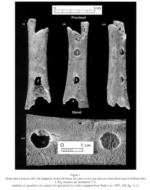 flauta - Flauta Auriaciense de Hohle Fels 2j1odxu