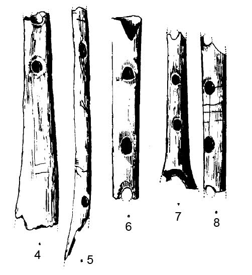 flauta - Flauta Auriaciense de Hohle Fels Dr2nx2