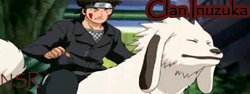 CLAN INUZUKA