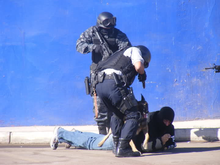 Fotos SWAT Mexicali Baja California 352451x