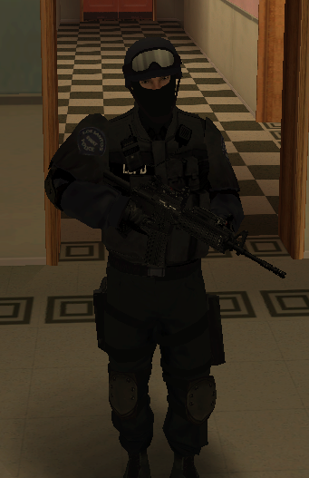 [FIND] LSPD Swat skin 24qtjcl