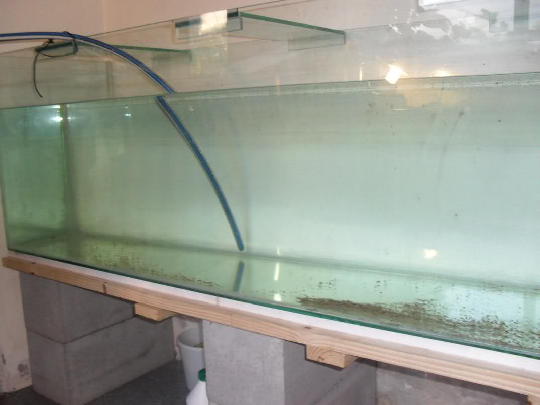 Acuario, mueble y tapa Ejziur