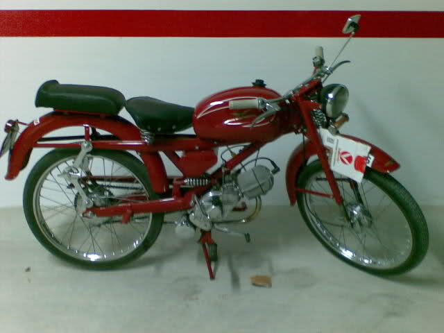 Mis amoticos de 75 cc 27zvr04