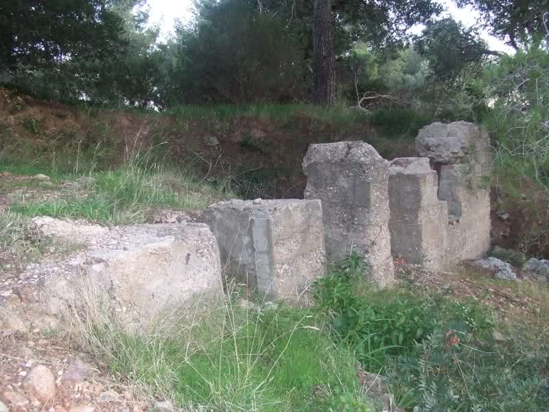 Colline de Costebelle - Hyères (83) 66vhfr