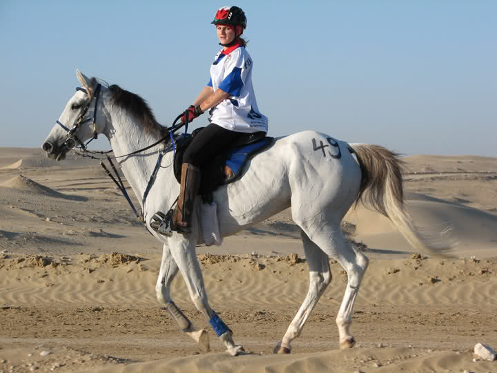 Arapski konj (arabian horse) - Page 2 Dr3tsp