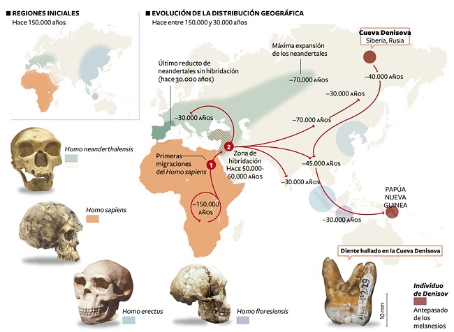 Svnte Pbo revela la historia Gentica del grupo de Homnidos al que pertenece el ejemplar hallado en la Cueva de Denisova en Siberia Zv7cc1