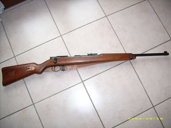 lee enfield ou mas45? 289lgtg