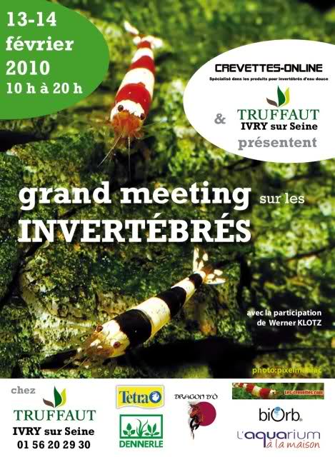 Meeting sur les Invertébrés à Paris... 29vxa8n