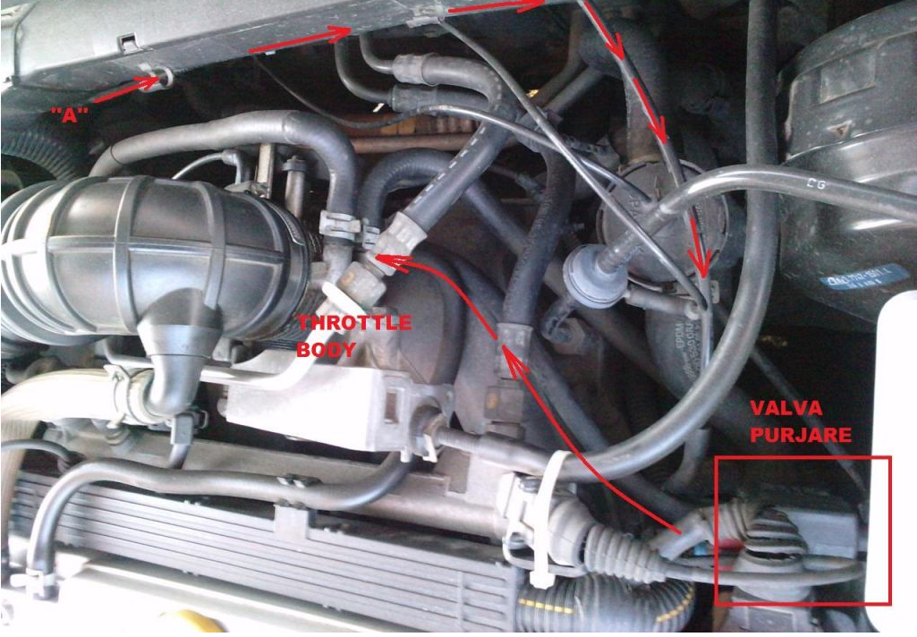 Tutorial reconditionare canistra de vapori Atgyg