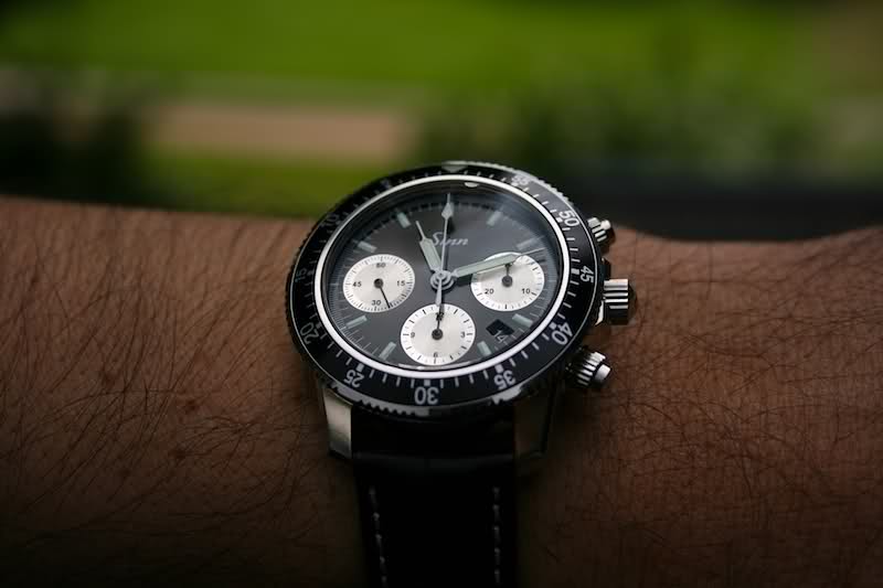 longines - Montre panda : alpina ou longines - Page 2 Atxds5