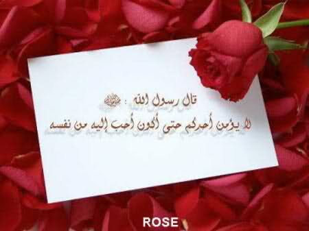 Ƹ̵̡Ӝ̵̨̄Ʒ♥♥Ƹ̵̡Ӝ̵̨̄Ʒ صباح الخير Ƹ̵̡Ӝ̵̨̄Ʒ♥♥Ƹ̵̡Ӝ̵̨̄Ʒ L8ky9