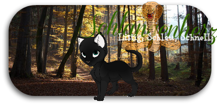 warrior cats namen - Seite 11 1vslx