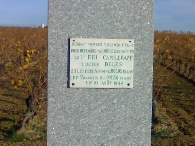 Stèles dans l'Hérault (34) 2dmi2av