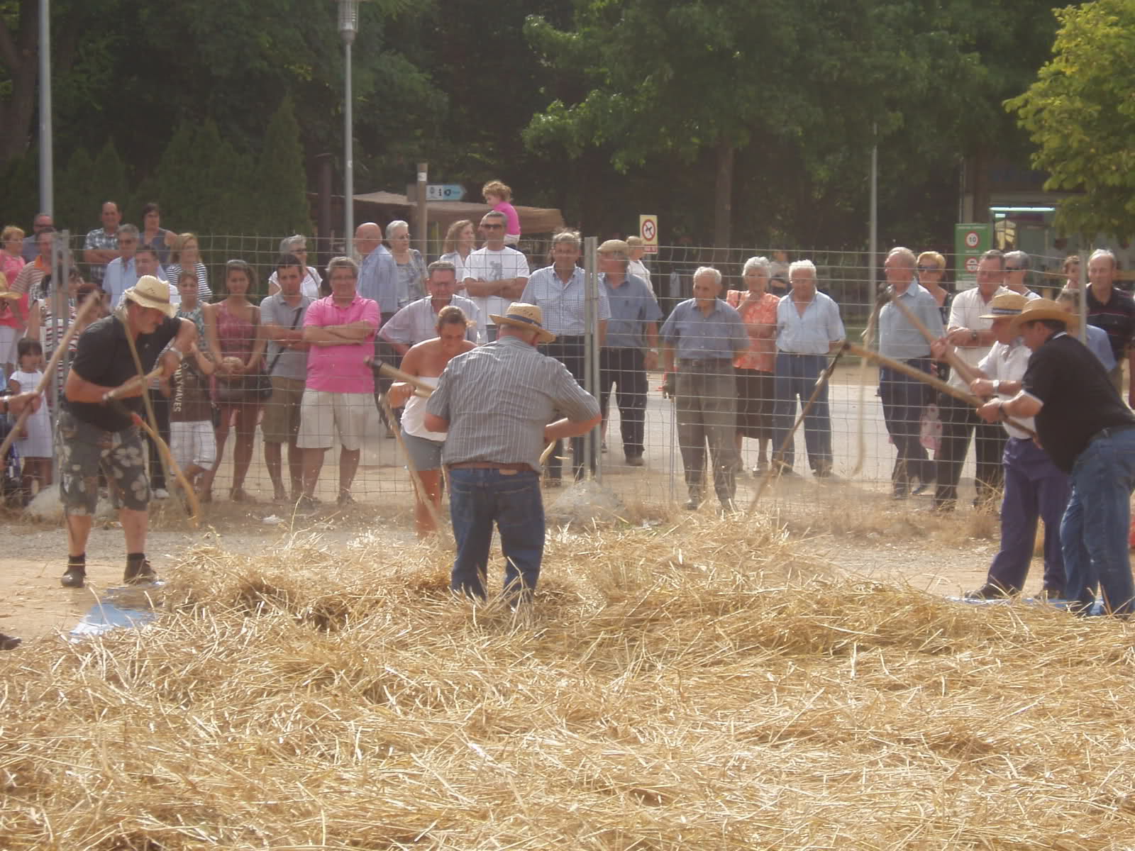 Fiesta de la siega y trilla a la antigua Bhfxx2