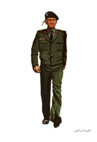 Uniformología Militar del Ejercito Español. F2lyxl