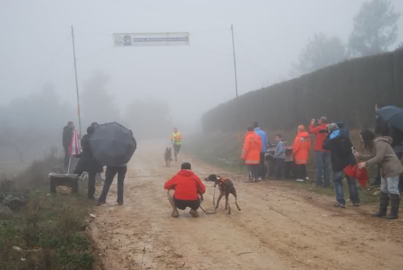 MUSHINGFACIL (resultados) IV PREMIO MUSHING CAMPING LOS CARASOLES EN NAVALON –VALENCIA   29olh6d