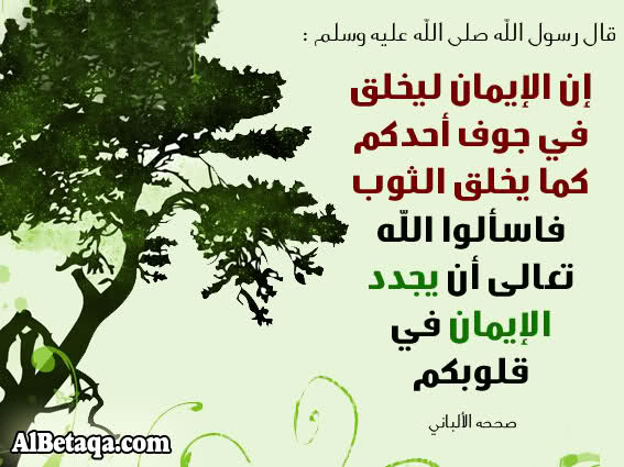 بين حياة القلب وموته ...  29kx2rs