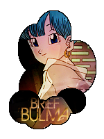 Bulma Brief