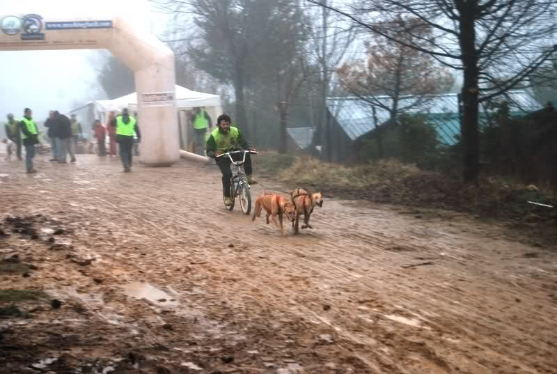 MUSHINGFACIL (resultados) IV PREMIO MUSHING CAMPING LOS CARASOLES EN NAVALON –VALENCIA   2n07vk8