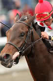 2011  KENTUCKY DERBY - Página 9 2n6d9w7