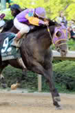 2011  KENTUCKY DERBY - Página 9 34dplb9