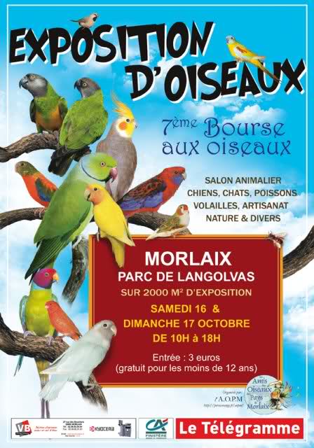 expo,bourse aux oiseaux,volailles...à Morlaix 1460yb