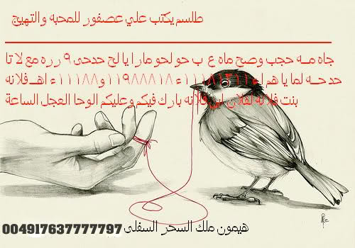 عصفور يجلب الحبيب00201115007323 2wmdllc