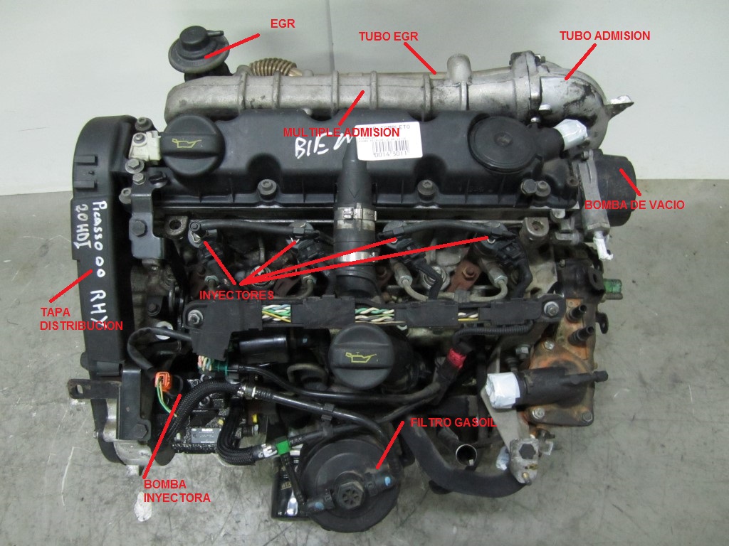 SISTEMA ANTIPOLUCION -  EGR - RECIRCULACION DE GASES DE ESCAPE 25088rq