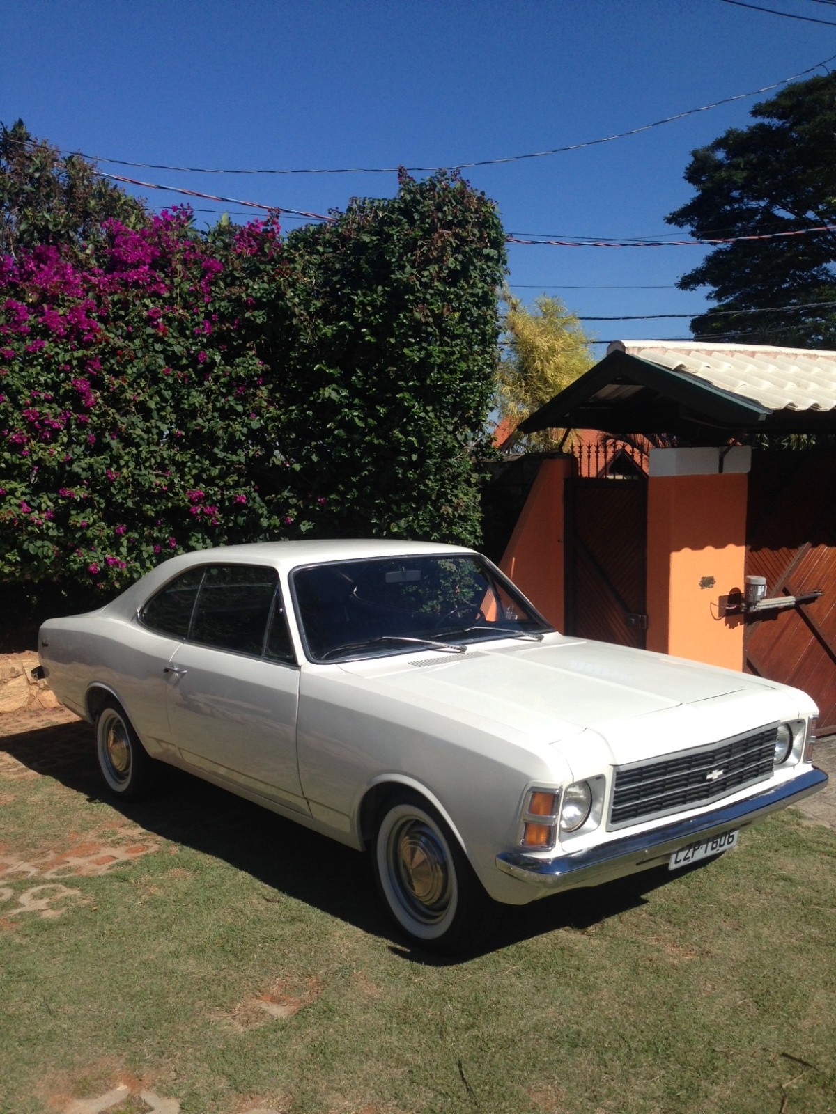 OPALA 77 25t7x49