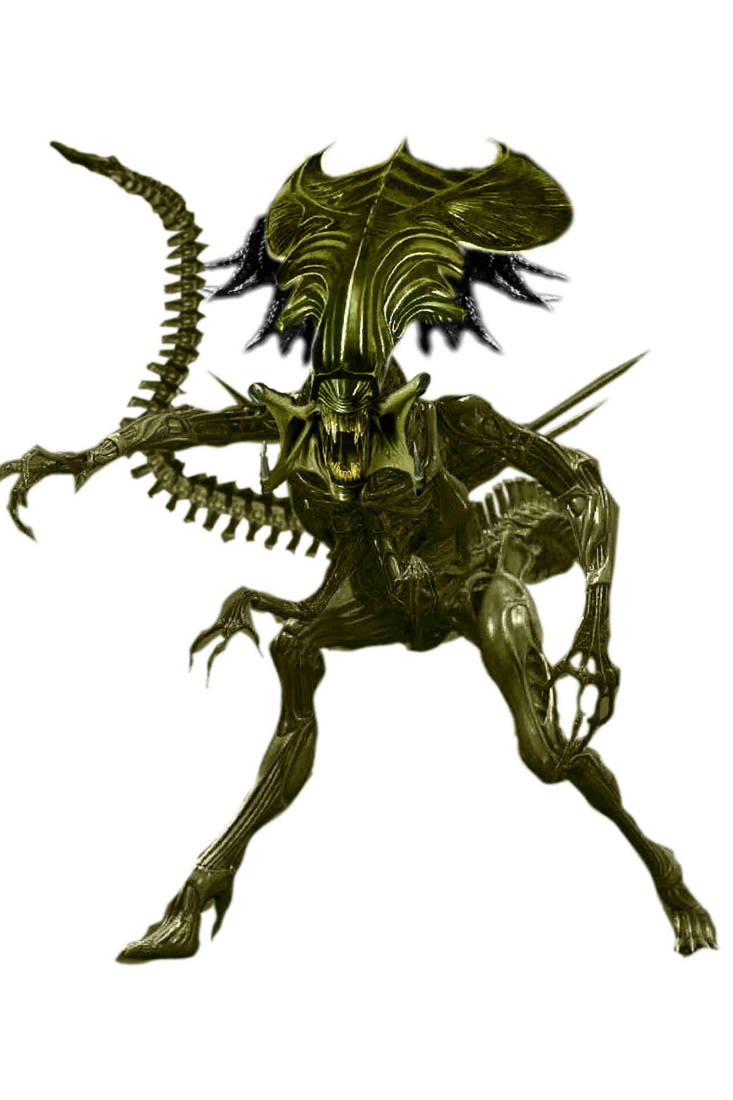 Tipos De Predalien 2eupchd