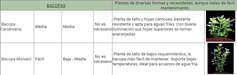 GUÍA DE PLANTAS ACUATICAS 2i9s084