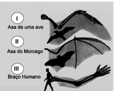 Evolução 2m3ns6a