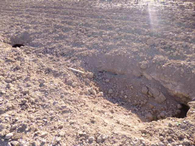 CUEVA PERDIDA EN EL MIDIO DEL CAMPO Ddl5p5