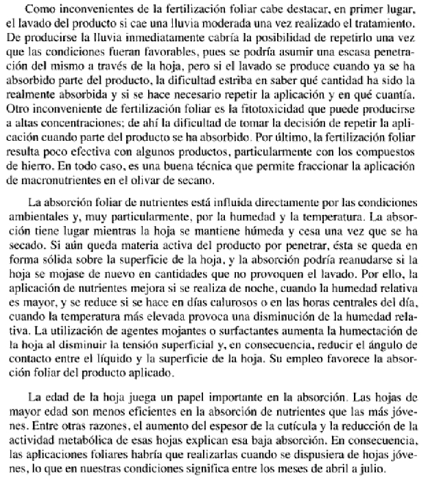 Tiempo de absorción de nutrientes vía foliar Dnzrjs