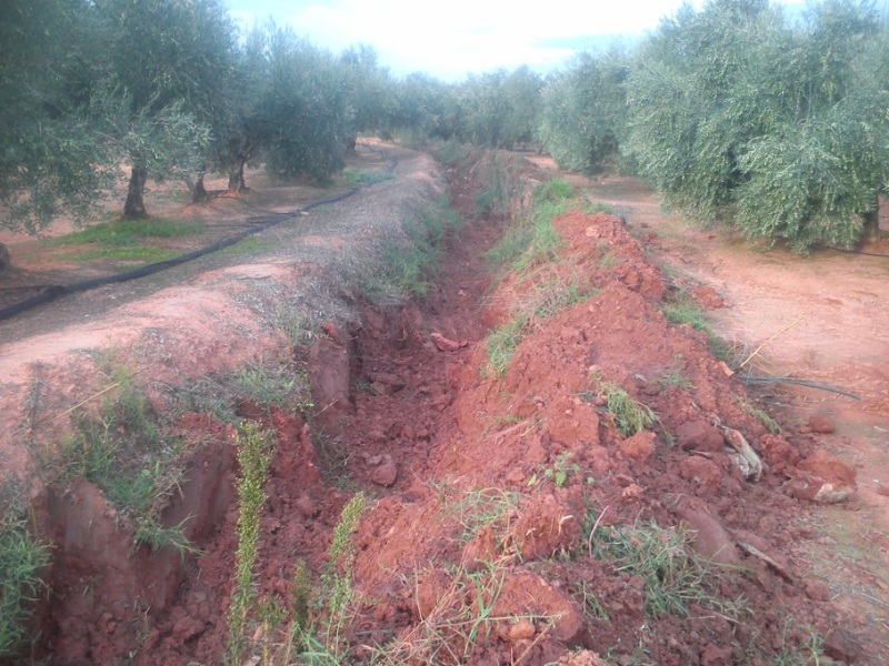 Tratamiento de MADURACIÓN - Página 6 15x0ozc