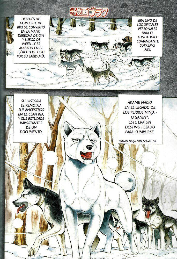 Ginga Densetsu Akame (Manga en Español) 24b3won