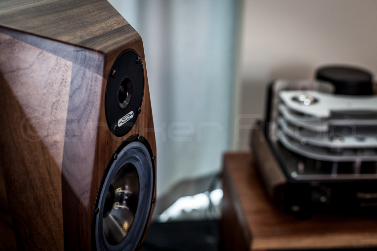 PERMITEME QUE INSISTA!! ...... DIAPASON SPEAKERS 2dma2bk