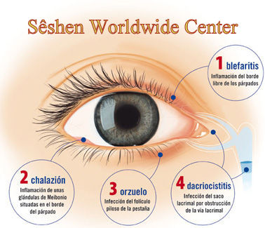 medicina - Medicina Egipcia , Oftalmología y Sêshen - Sahú Ari Merek 2zzlsow