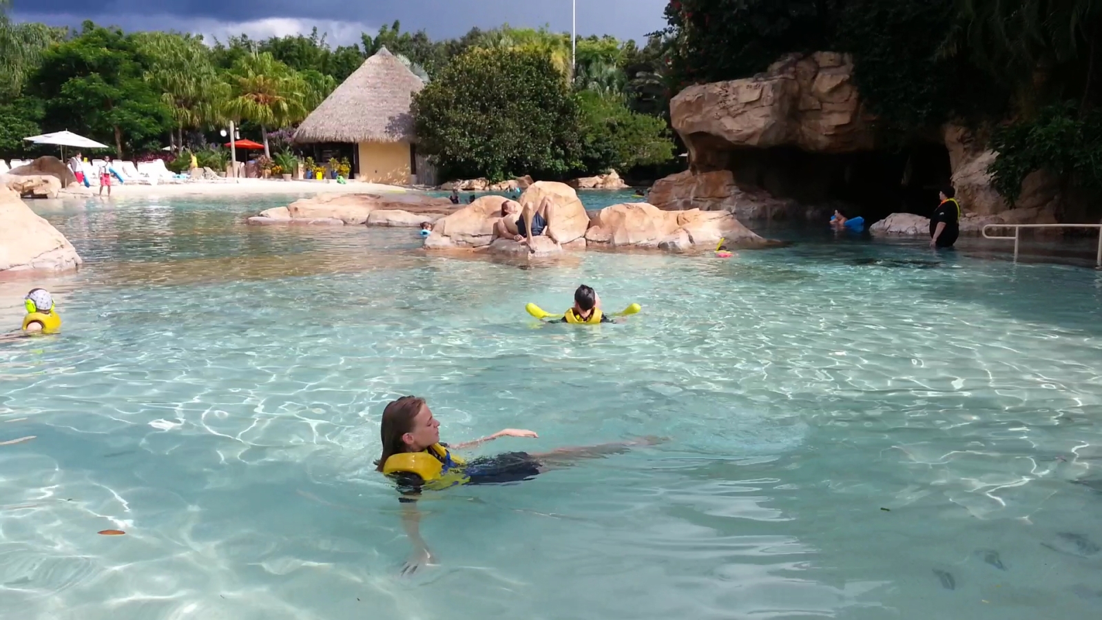 UN DIA EN DISCOVERY COVE 69l47l