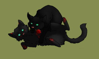 warrior cats namen 16k76gp