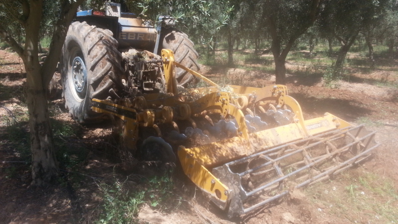 Cubierta vegetal en olivar Aahopd