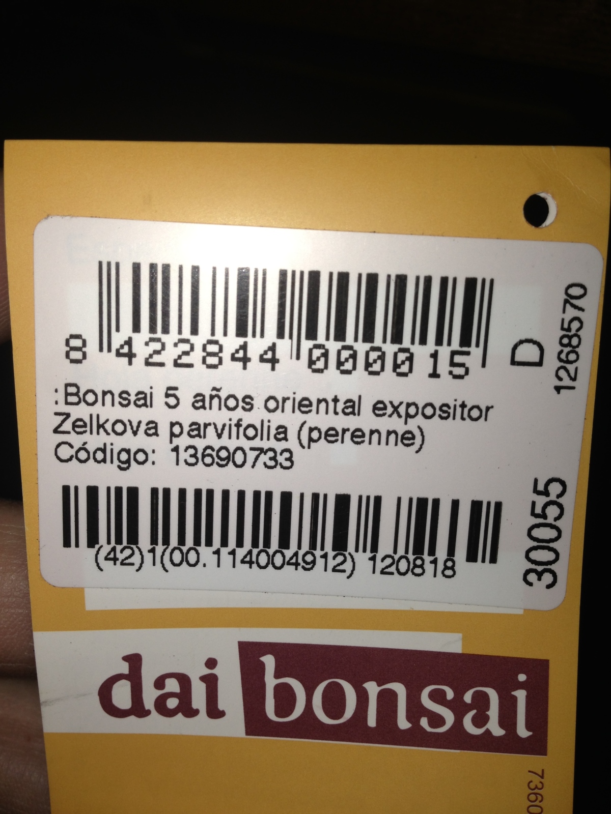 hola me presento con mi nuevo bonsai  Vobhux