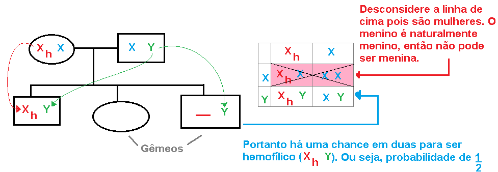 Probabilidade - filhos gêmeos  Wvwkty